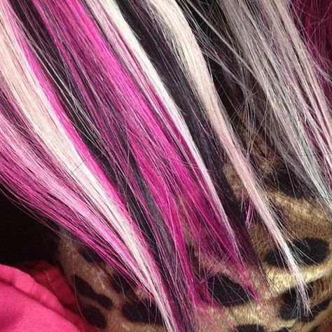 Skunk Hair, Pink And Black Hair, Y2k Hair, Hair Color Streaks, Blonde With Pink, Hair Streaks, Dyed Hair Inspiration, Dye My Hair, Hair Inspiration Color