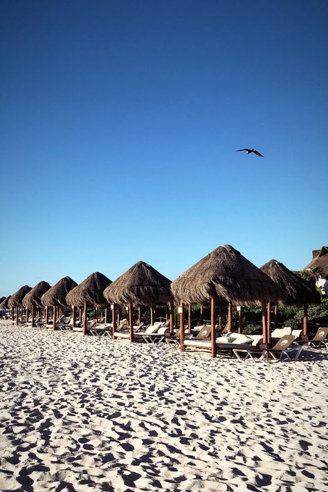 Stylin' Iowan: Travel Diary: Riviera Maya, Mexico | Valentin Impe... Mexico Mayan Riviera, El Dorado Royale Riviera Maya, Valentin Imperial Riviera Maya, Lazy River Pool, Grand Sirenis Riviera Maya, Secrets Akumal Riviera Maya, Mexico Beaches, Riviera Maya Mexico, College Girl