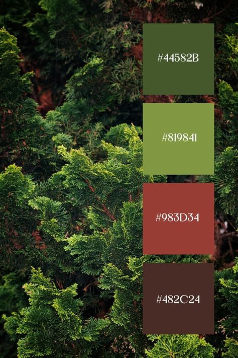 Green Forest Palette, Green Complimentary Color Palette, Deep Forest Color Palette, Color Palettes With Green, Green Color Palette Combination, Tropical Colour Palette, Color Pallete Green, Green Brown Color Palette, Green Pallet Color