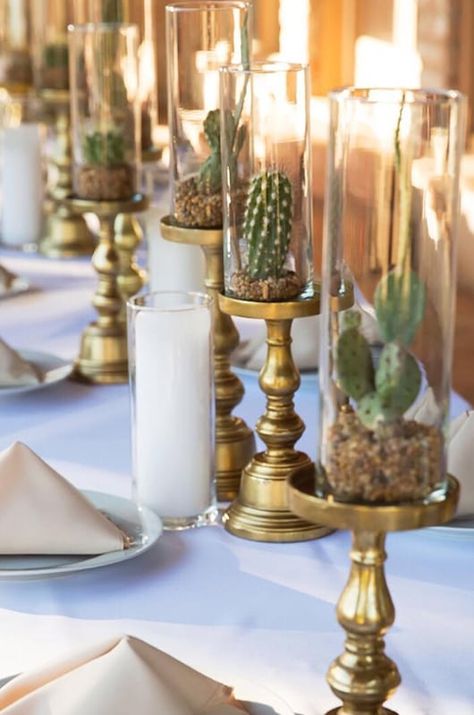 Insta Cacti 5 Western Centerpieces, Cactus Centerpiece, Succulent Wedding Centerpieces, Southwestern Wedding, Mexican Themed Weddings, Cactus Wedding, Southwest Wedding, Western Theme Party, Cactus Party