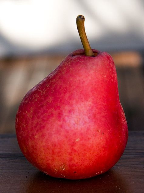 Pears 4 | I love pears. Not to eat but as a photographic sub… | Flickr Aspen Art, Daily Nutrition, Red Pear, Fruits Photos, Watercolor Fruit, Fruit Photography, Eat Fruit, How To Go, Fruit Garden