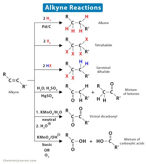 Alkyne Reactions, Doubles Addition, Scientific Method Worksheet, Hydrogen Atom, Carboxylic Acid, Teaching Chemistry, Water Molecule, Daisy Painting, Painting Demo