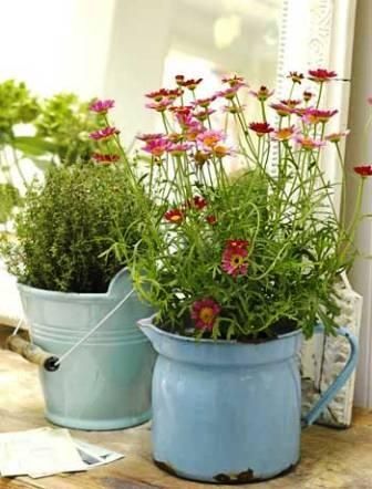 Shabby Chic Accessories, Watering Cans, Vintage Enamelware, Garden Containers, Deco Floral, Garden Cottage, Country Gardening, Container Plants, Buckets