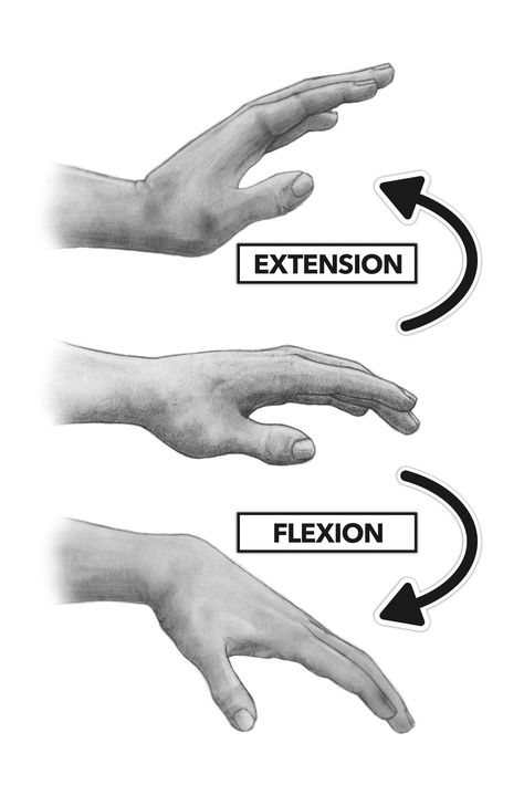 flexion - flexor digitorum superficialis and flexor digitorum profundus extension - extensor digitorum Extensor Digitorum, Flexion And Extension, Stretches Before Workout, Orthopedic Nursing, Hand Muscles, Basic English Sentences, Wrist Pain, Wrist Brace, Hand Therapy