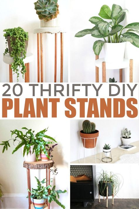 These 20 thrifty diy plant stands are very easy projects you can make yourself. I'm sharing some of my favourite DIY plant stands today, hoping these creative ideas will give you some inspiration for plant stands that stand out! Diy Multi Plant Stand Indoor, Diy Decorative Shelves, Houseplant Stand, Upcycled Plant Stand, Diy Plant Stands, Staging House, Aesthetic Interior Design, Tall Plant Stands, Black Thumb