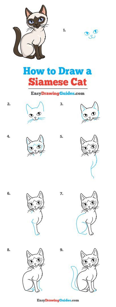 How To Draw Jiji Cat, Siamese Cat Drawing, Cat Hand Drawing, Cat Drawing For Kid, Jiji Cat, Ghibli Characters, Draw Cats, Drawing Instructions, Cat Outline