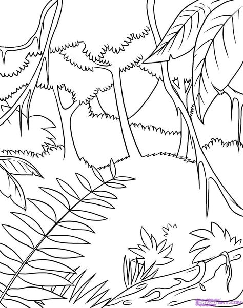 Rainforest Pictures, Polar Bear Coloring Page, Leaves Coloring, Jungle Coloring Pages, Jungle Drawing, Forest Coloring Pages, Rainforest Trees, Rainforest Plants, Forest Drawing