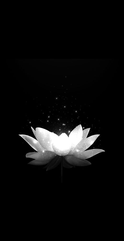 White Lotus Wallpaper, Phone Decorations, Lotus Flower Wallpaper, Lotus Wallpaper, Chinese Wallpaper, Anime Quotes Inspirational, White Lotus, Phone Wallpaper Design, Rose Wallpaper