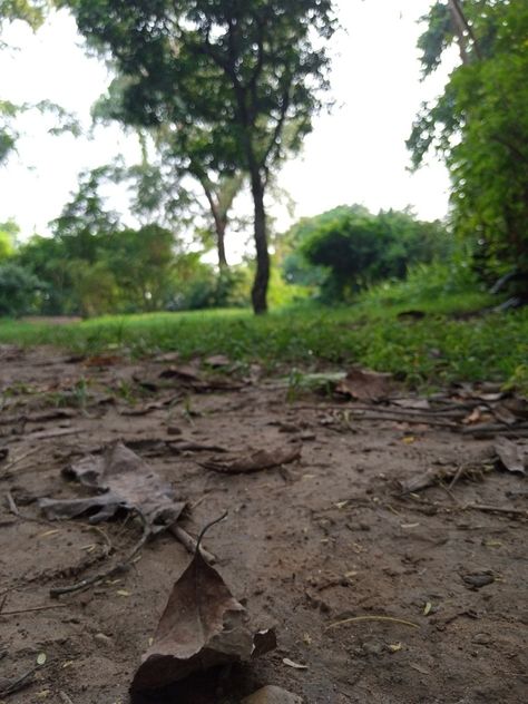 I really love the Smell of soil after rain ... #Love_nature Smell Of Soil After Rain, Smell Of Rain, After Rain, Soil, Quick Saves, Nature