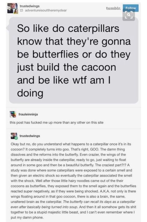 da heck Writing Essays, Funny Tumblr, Funny Tumblr Posts, The More You Know, What’s Going On, Very Funny, Outdoor Play, Tumblr Funny, Tumblr Posts