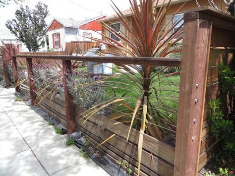 Cable Fence, Low Fence, Home Fencing, Fence Designs, Rustic Fence, Natural Fence, Yard Fence, Cheap Fence, Living Fence