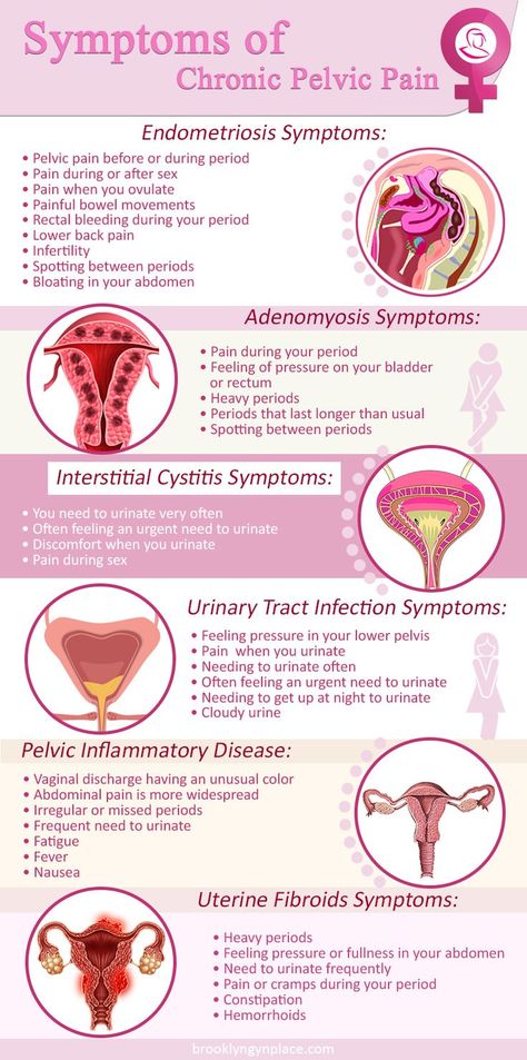 Chronic pelvic pain is pain below the belly button and between the hips that lasts for six months and more. This type of disorder can have multiple causes, or it can be a symptom of another disease. Pain in the pelvis can be caused by another health condition. If this is the case, treating that disorder might be enough for the pelvic pain to disappear. However, specialists put an emphasis on the fact that it might be impossible to identify the root cause of chronic pelvic pain. Green Tea Benefits Health, Fibroid Diet, Testosterone Hormone, How To Become Happy, Nursing School Essential, Pregnancy Labor, Pregnancy Guide, Women Health Care, Medical School Essentials