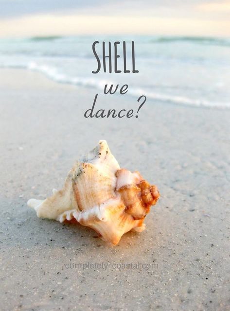 Quotes About Sea, Seashells Quote, Shell Quotes, Sea Captions, Romantic Beach Photos, Sea Quotes, Seashell Projects, Ocean Quotes, Nautical Bathrooms