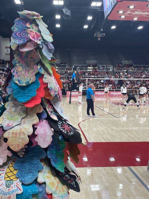 Stanford Volleyball Aesthetic, Dream University, Future Vision, Volleyball, Vision Board, University