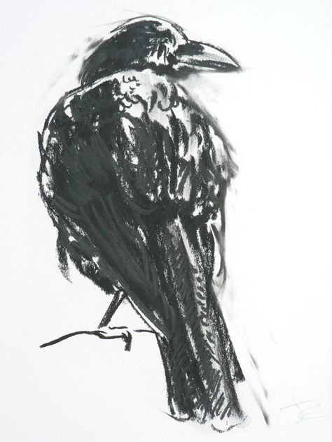 Charcoal sketch of a crow by Peter Gilbert 2004ish | Flickr Charcoal Drawings Easy, Charcoal Tattoo, Charcoal Pencil Sketches, Bird Sketches, Things To Draw Ideas, To Draw Ideas, Crows Drawing, Easy Things To Draw, Sketching Tips