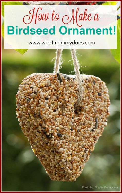 How to Make a Bird Seed Ornament - What Mommy Does Traditional Birdhouse, Bird Seed Ornaments Recipe, Neighbor Gift Ideas, Seed Ornaments, Ranger Rick, Make A Bird, Bird Seed Ornaments, Bird Seed Feeders, Homemade Bird Feeders