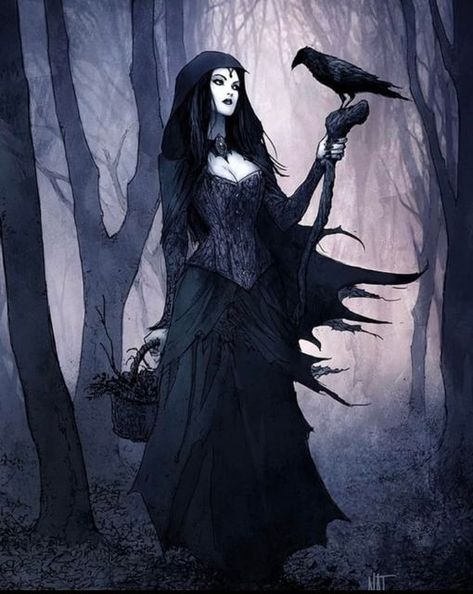 The Raven Witch - @natjonesart Raven Witch, Witch Pictures, Witch Coven, Dark Witch, Raven Art, Gothic Fantasy Art, Goth Art, Gothic Aesthetic, A Dinosaur