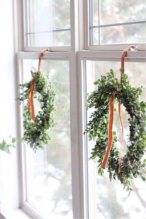 Very simple boxwood Christmas wreaths hung at a window for beautifully minimal Christmas decorations. #christmaswreath #christmaswreathideas #diychristmaswreaths Modern Minimalist Christmas, Christmas Wreaths For Windows, Boxwood Wreaths, Rustic Christmas Decorations, Diy Christmas Wreath, Minimalist Christmas Decor, Wreath Indoor, Holiday 2022, Diy Christmas Wreaths