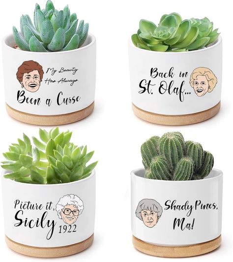 Funny Succulent Pots Set of 4 - Golden Inspired Merchandise Ceramic Mini Funny Plant Pots with Bamboo Tray,Golden Gifts for Women,Funny Planter for Indoor | Patreon Funny Plant Pots, Mini Funny, Pots Set, Ceramic Planter Pots, Bamboo Tray, Water Retention, Cartoon Portrait, Plant Pots, Plant Growth