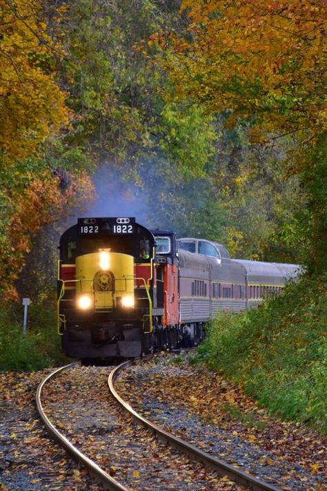 Cuyahoga Valley Scenic Railroad - Fall Foliage Train Rides Ohio Bucket List Template, Scenic Train Rides, Train Route, Scenic Railroads, Train Art, Train Photography, Train Pictures, Train Journey, Autumn Scenery