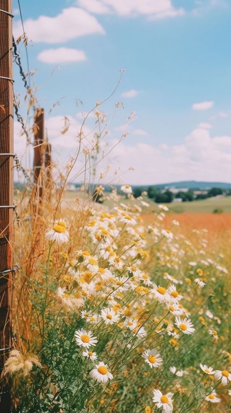 Summer wallpaper countryside grassland outdoors. | premium image by rawpixel.com Summer Country Aesthetic Wallpaper, Summer Landscape Aesthetic, Summer Country Wallpaper, Country Side Aesthetic Wallpaper, Western Summer Wallpaper, Wallpaper Aesthetic Country, Country Summer Wallpaper, Vintage Summer Aesthetic Wallpaper, Elio Aesthetic