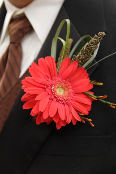 Corsages And Boutonnieres | corsage, boutineers and flower girls: Fall Gerbera Daisy Boutonniere Daisy Boutineer, Gerbera Buttonhole, Daisy Boutonniere, Corsage Ideas, Grooms Men, Gerber Daisy, Groomsmen Boutonniere, Gerbera Daisies, Daisy Wedding