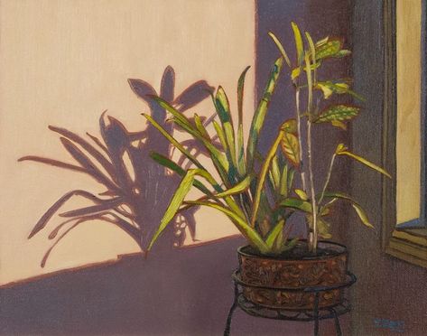 3pm in winter interior plant - Yue Zeng - Paintings & Prints, Still Life, Floral - ArtPal Plant Still Life, Interior Plants, Still Life Oil Painting, Plant Painting, Painting Still Life, Saturated Color, Still Life Painting, Interior Art, Painting Oil