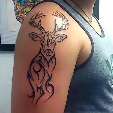 35+ Best Stag Tattoo Designs, Ideas, and Meanings Hakini Mudra, Stag Tattoo Design, Rio Tattoo, Buck Tattoo, Shoulder Tattoos For Men, Archery Tattoo, Deer Tattoo Designs, Stag Tattoo, Bull Tattoos