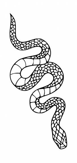 Snake Outline, Show Tattoo, Buddha Wallpaper Iphone, Tattoo Png, Tattoo Svg, Vector Tattoo, Building Silhouette, Snake Illustration, Cool Snakes