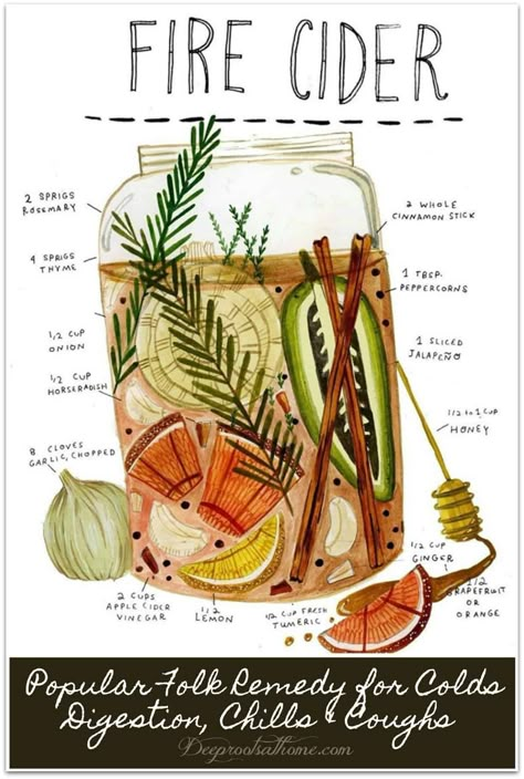 Fire Cider Recipe, Homemade Garden, Kitchen Witch Recipes, Fire Cider, Cider Recipe, Herbal Recipes, Herbal Apothecary, Natural Healing Remedies, Herbal Healing