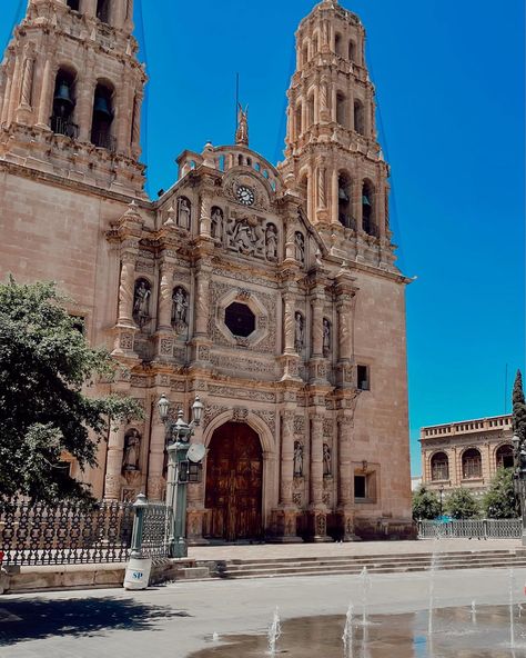 Beautiful Cathedral at downtown Chihuahua, Mexico Chihuahua Mexico, Future Life, Chihuahua, Halloween, Mexico