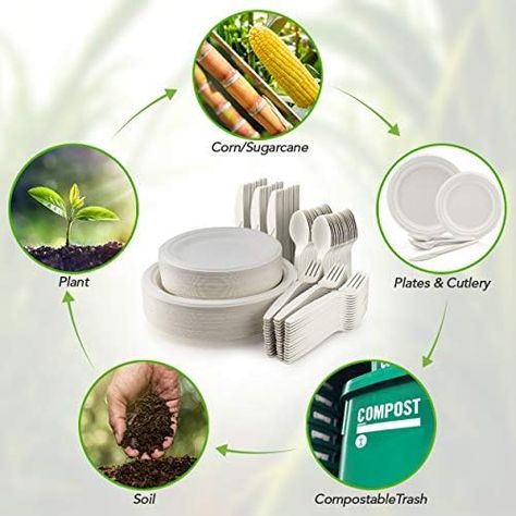 Bulk 250 Piece Biodegradable Paper Plates Set (EXTRA LONG UTENSILS), Disposable Dinnerware Set, Eco Friendly Compostable Plates & Utensil include Plates, Forks, Knives and Spoons for Party Manufacturer Check more at https://www.packagingeye.com/product/bulk-250-piece-biodegradable-paper-plates-set-extra-long-utensils-disposable-dinnerware-set-eco-friendly-compostable-plates-utensil-include-plates-forks-knives-and-spoons-for-party-manufacture Compostable Plates, Compost Soil, Wood Plates, Food F, Disposable Plates, Appetizer Plates, Dessert Appetizers, Plates Set, Daily Meals