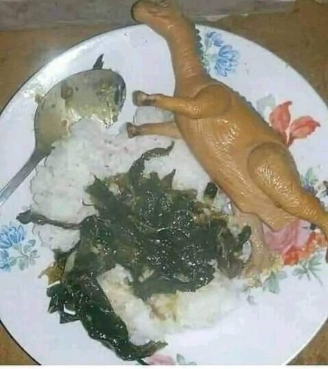 No specie of dinosaur can fit into your tiny plate 🤷🤷 Gross Food, Filipino Memes, Tagalog Quotes Funny, Interesting Story, Filipino Funny, Food Memes, Wait What, Jokes Pics, Strange Things