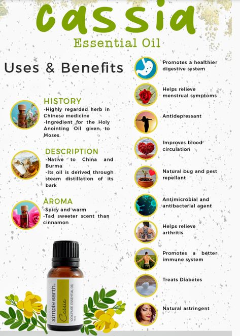 Cassia Essential Oil Benefits, Cassia Essential Oil Uses, Cassia Oil Benefits, Cassia Essential Oil Blends, Sandalwood Oil Benefits, Doterra Cassia, Sandlewood Essential Oil, Essential Oils Properties, Cassia Essential Oil