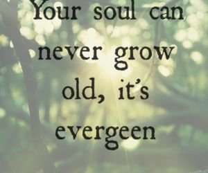 Ed Sheeran "thinking out loud" ~M4U~ Ed Sheeran Lyrics, Great Song Lyrics, Never Grow Old, Thinking Out Loud, Grow Old, Words Worth, Greatest Songs, Song Quotes, Ed Sheeran