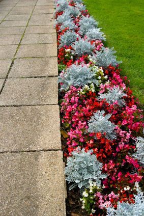 I want to do something similar to this along my walkway with different flowers. Very beautiful. Shelf Garden, Walkway Landscaping, Yard And Garden, Landscaping Inspiration, Bar Shelf, Garden Walkway, Garden Yard Ideas, Front Yard Garden, Garden Bar