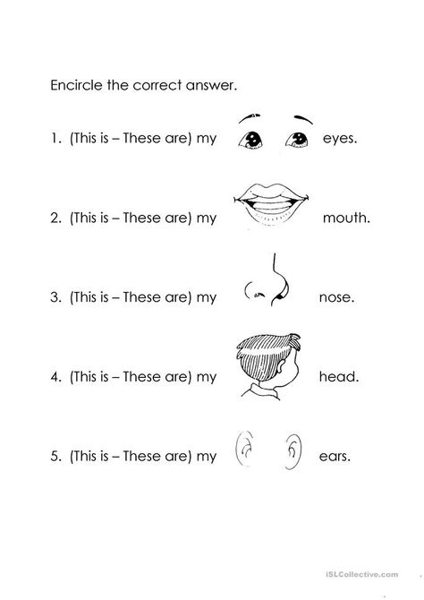 This is and These are worksheet - Free ESL printable worksheets made by teachers This And These Worksheets, This Is And These Are Worksheets, This These Worksheets, This Is These Are Worksheet, Preposition Worksheets Kindergarten, Number Words Worksheets, Preposition Worksheets, Plastic Ocean, Distance Formula