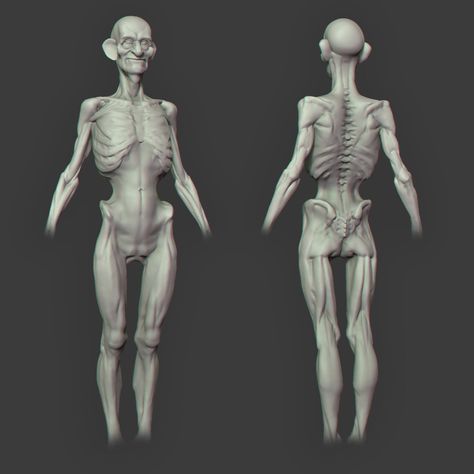 Zbrush Anatomy, 3d Anatomy, Skeleton Anatomy, The Dark Side, Anatomy Sculpture, Human Anatomy Drawing, Anatomy Poses, New Retro Wave, Body Anatomy