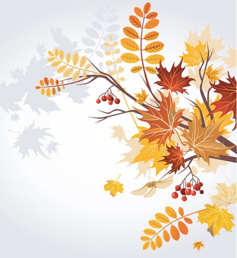 Set of Leaf fall vector backgrounds vector 04 Unique Fall, Fall Wallpaper, Fall Foliage, Royalty, Royalty Free