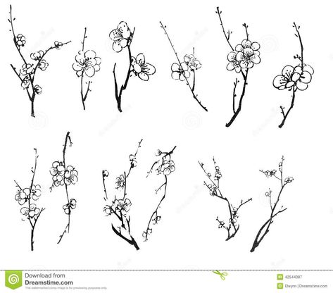 Plum Blossom Branches Stock Illustration - Image: 42544387 Blossom Tree Branch Tattoo, Plum Flower Tattoo, Cherry Blossom Branch Tattoo Black, Chinese Plum Blossom Tattoo, Plum Blossom Tattoo Black And White, Plum Tattoo, Plum Blossom Drawing, Cherry Blossom Branch Tattoo, Plum Blossom Tattoo