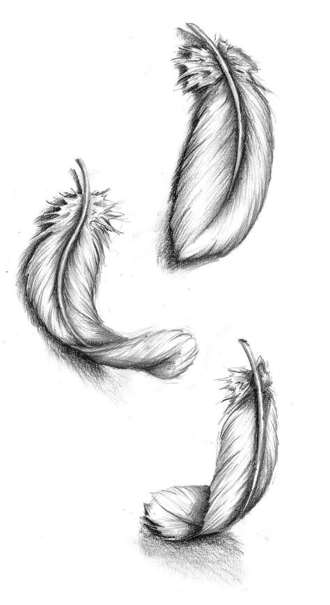 Tattoo Falling, Amy Tattoo, Hase Tattoos, Feather Sketch, Falling Feathers, Tattoo Feather, Vogel Tattoo, Feather Drawing, Image Halloween