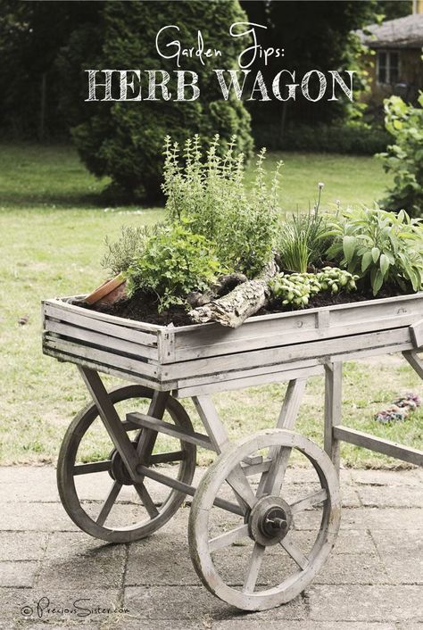 Creative Outdoor Herb Gardens • Ideas and Tutorials! Including from 'precious sister', this herb wagon garden. Simple Apartment, Herb Garden Planter, Garden Wagon, Outdoor Herb Garden, Diy Herb Garden, Vertical Vegetable Garden, Patio Pergola, Gardening Design, Herb Gardening