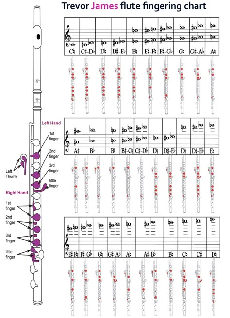 Flute Note Chart, Flute Chords Chart, Trumpet Finger Chart, Flute Notes For Beginners, Flute Fingering Chart, Flute Notes, Rhythm Worksheets, Native American Flute Music, Compound Words Worksheets