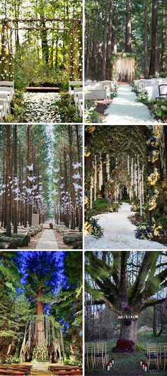 Whimsical Wedding Ceremony, Forest Whimsical, Enchanted Forest Decorations, Wedding Forest, Themed Wedding Decorations, Forest Theme Wedding, Romantic Wedding Receptions, Wedding Ceremony Ideas, Enchanted Forest Wedding