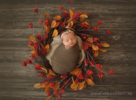 November Infant Photoshoot, Fall Newborn Photoshoot Ideas, October Newborn Photoshoot, September Newborn Pictures, November Newborn Pictures, Autumn Newborn Photoshoot, Infant Fall Photoshoot, Fall Newborn Photoshoot, October Newborn