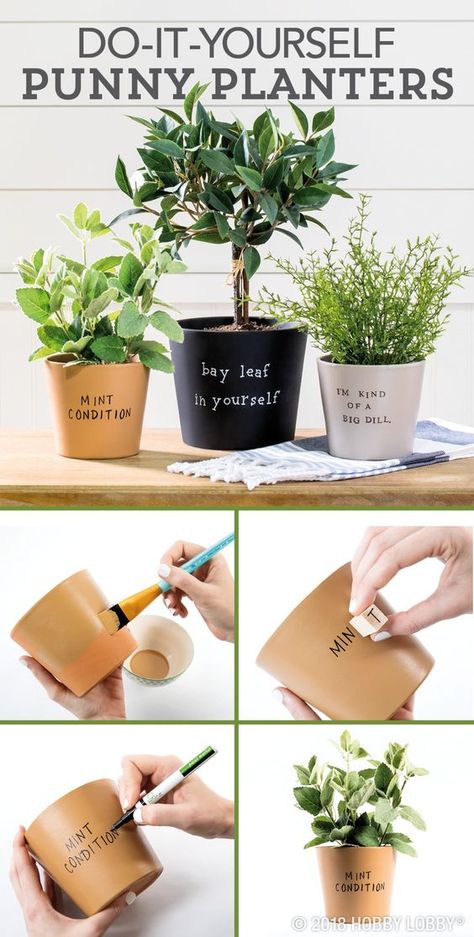 Plant Puns, نباتات منزلية, Painted Plant Pots, Diy Flower Pots, Painted Flower Pots, Diy Mothers Day Gifts, Pot Designs, Mother's Day Diy, Diy Plants