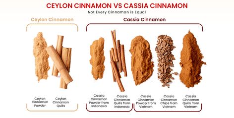 Despite the vast history and use of cinnamon, not every cinnamon in the market is the same; there are two main types of cinnamon namely Cassia Cinnamon and Ceylon Cinnamon with vast differences in composition, flavor, and texture. Types Of Cinnamon, Saigon Cinnamon, Cassia Cinnamon, Cinnamon Oil, Cinnamon Essential Oil, Essential Oils Herbs, Ceylon Cinnamon, Indonesian Cuisine, Scientific Name