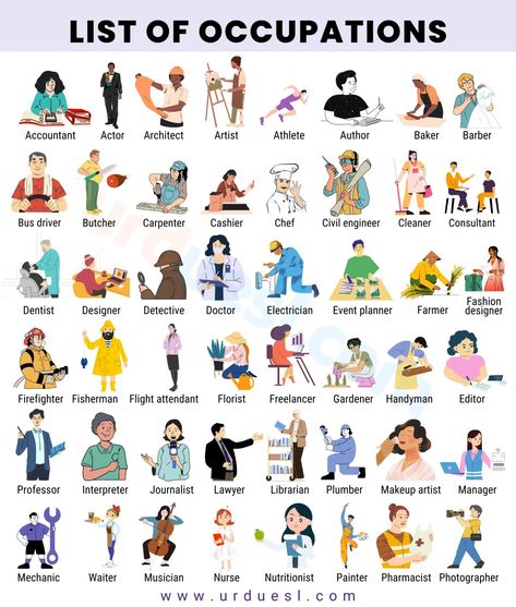 An image showing various jobs and occupations with their photos List Of Professions, All Jobs List, List Of Professions Career, List Of Occupations, Occupation Day At School, Jobs Ideas Career List, Jobs List Career, Career Paths Ideas, Occupations For Characters