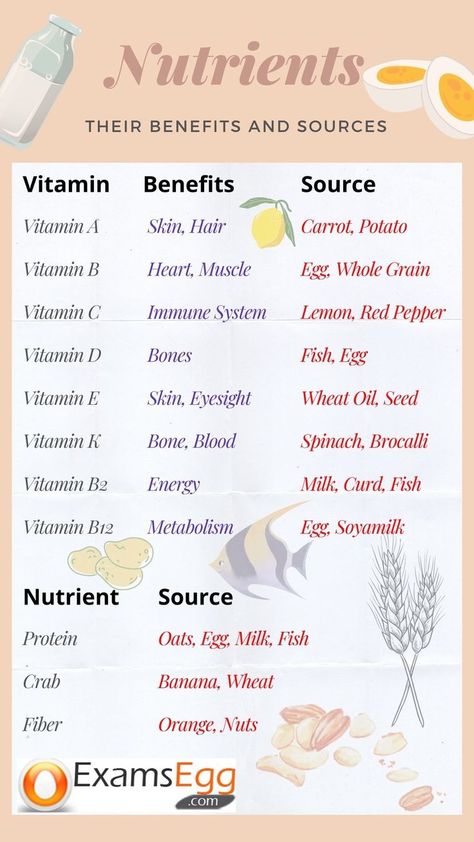 which food gives you which vitamin Fiber Benefits, Immune System Vitamins, Human Body Facts, Nutrition Motivation, Biology Facts, Vitamins For Energy, Study Flashcards, Medical School Essentials, Learn Facts