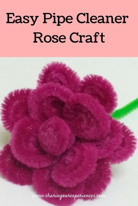 How to make rose with Pipe cleaner| Easy Pipecleaner rose craft - Sharing Our Experiences Heart Pipe Cleaner Craft, Pipe Cleaner Roses How To Make, Pipe Cleaner Rose Tutorial, Things To Do With Pipe Cleaners, Pipecleaner Flowers How To Make, Pipe Cleaner Roses, Step By Step Diy Crafts, Beltane Ideas, Pipe Cleaner Flowers Easy